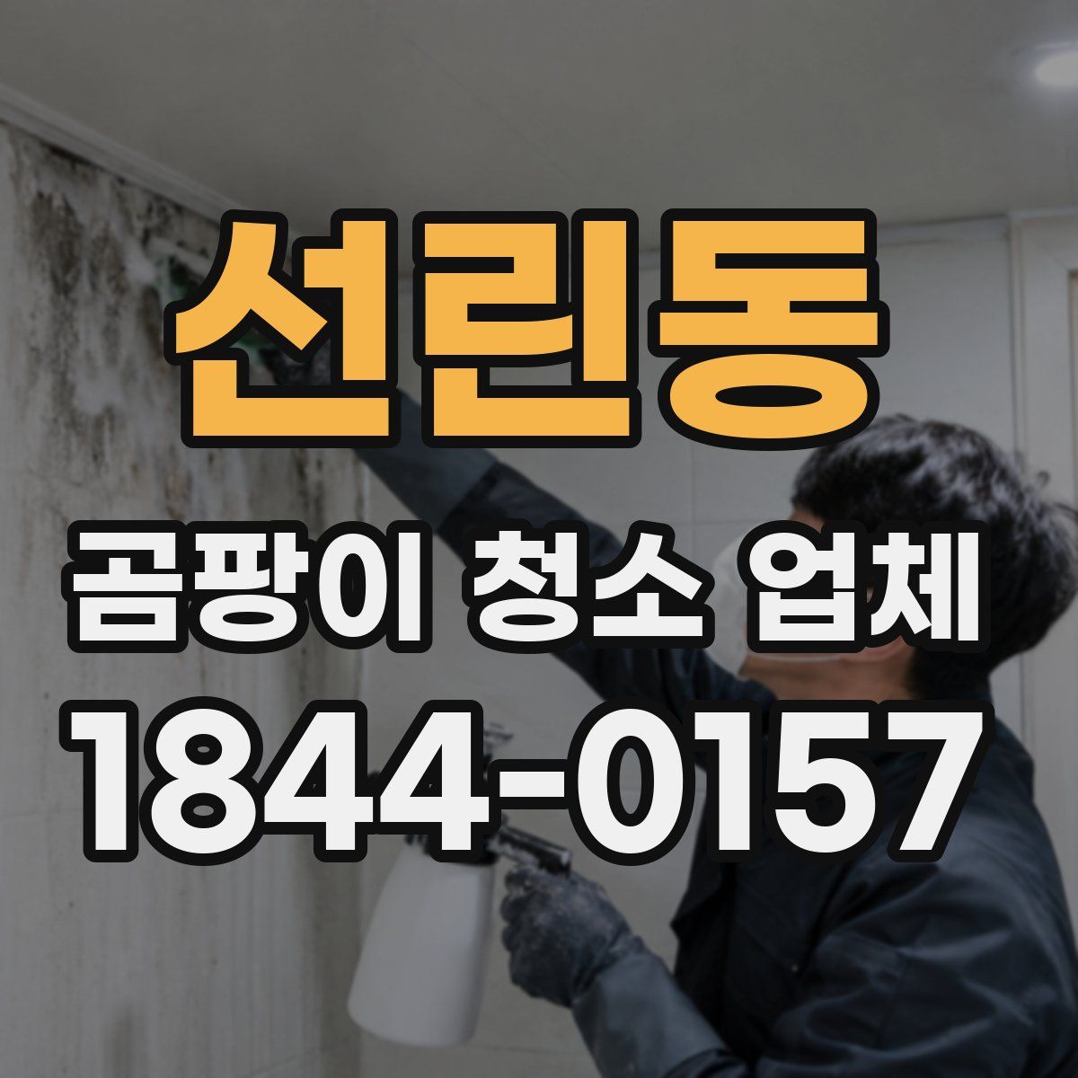 선린동 곰팡이 청소 업체