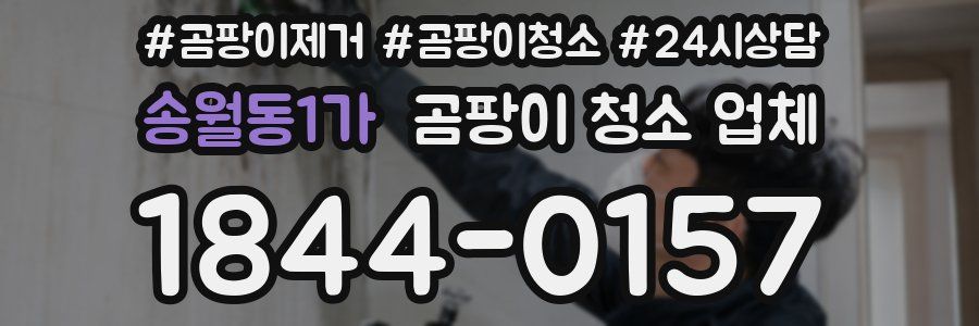 송월동1가 곰팡이 청소 업체