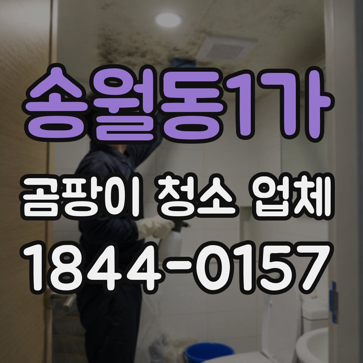 송월동1가 곰팡이 청소 업체