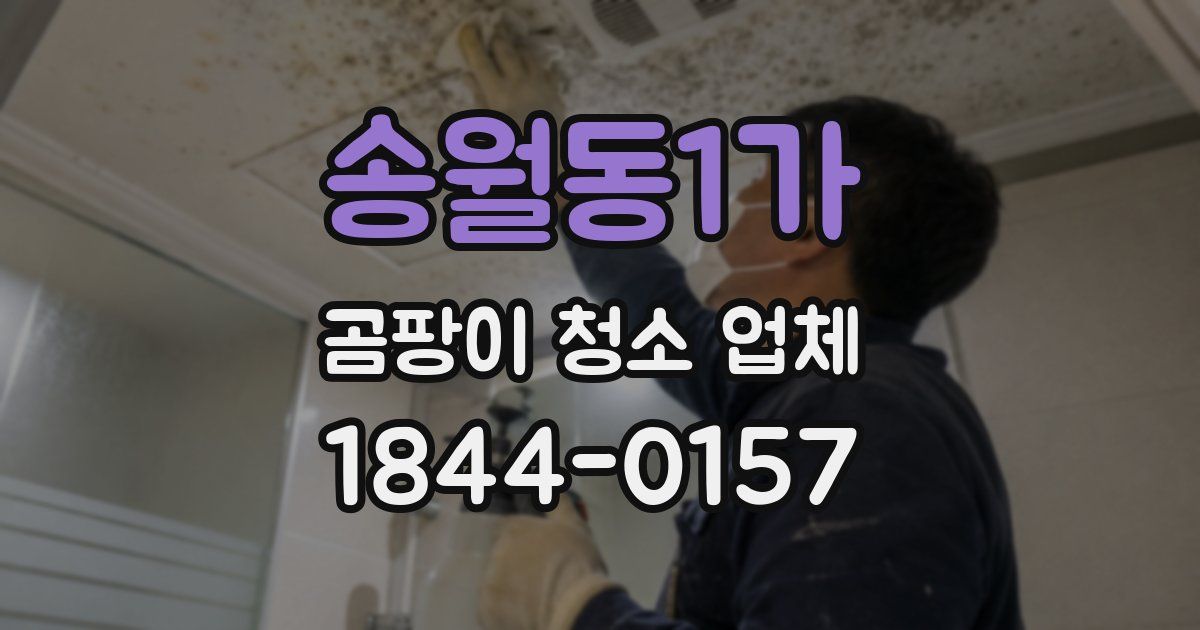 송월동1가 곰팡이 청소 업체