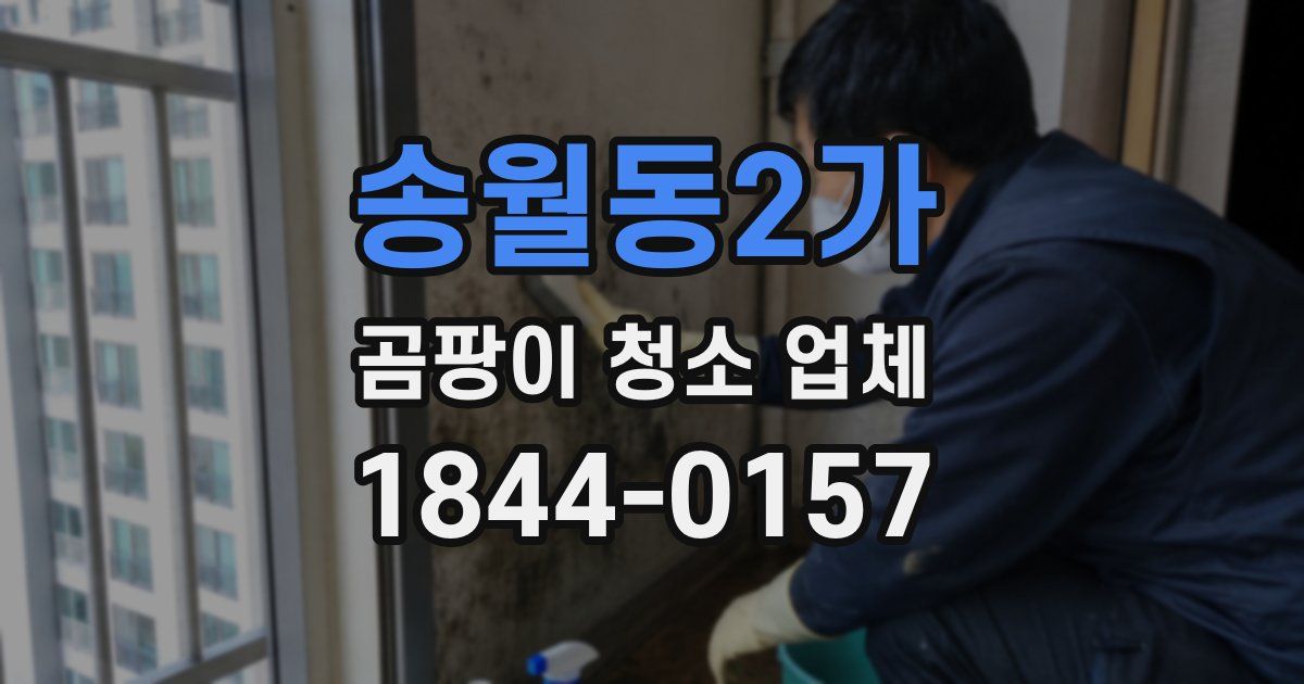 송월동2가 곰팡이 청소 업체