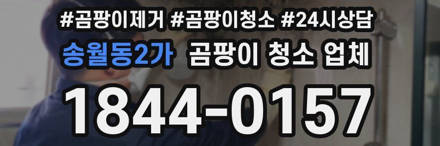 송월동2가 곰팡이 청소 업체
