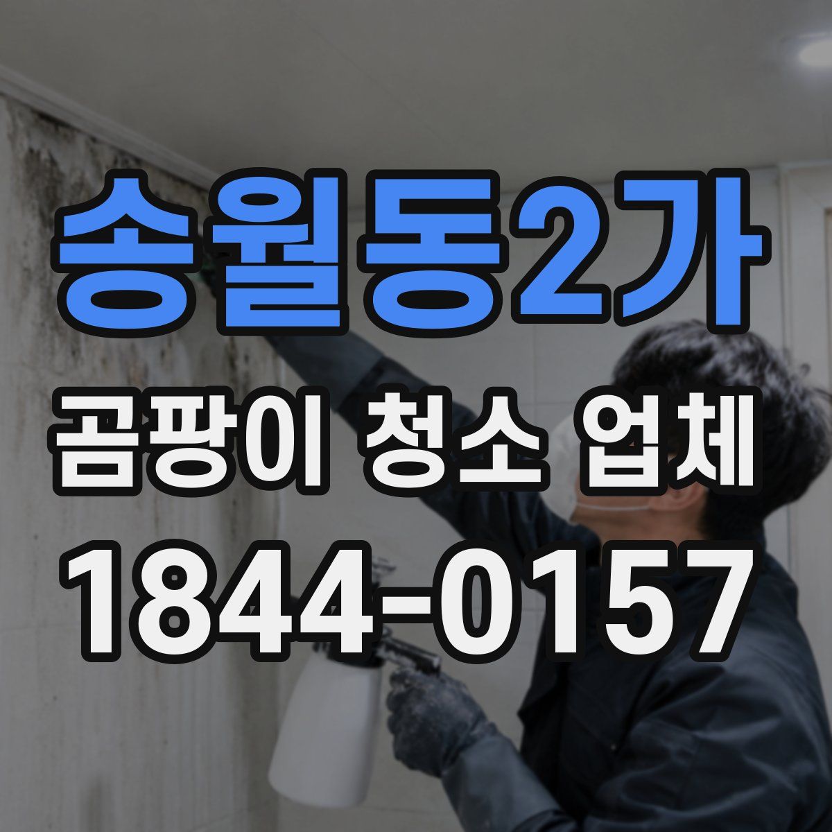 송월동2가 곰팡이 청소 업체