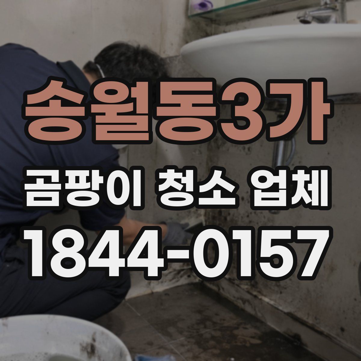 송월동3가 곰팡이 청소 업체