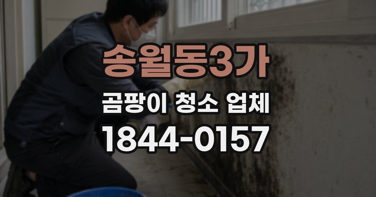 송월동3가 곰팡이 청소 업체