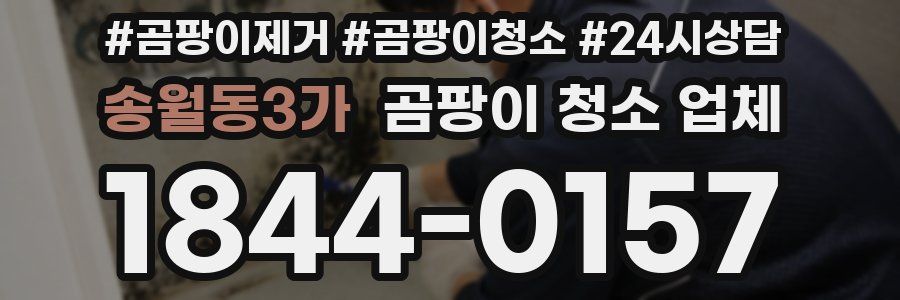 송월동3가 곰팡이 청소 업체