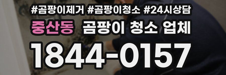 중산동 곰팡이 청소 업체