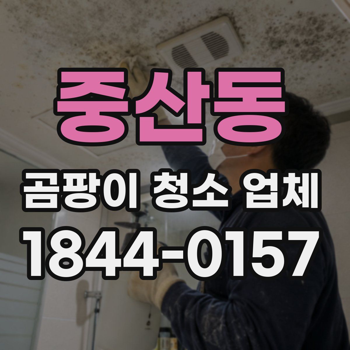 중산동 곰팡이 청소 업체