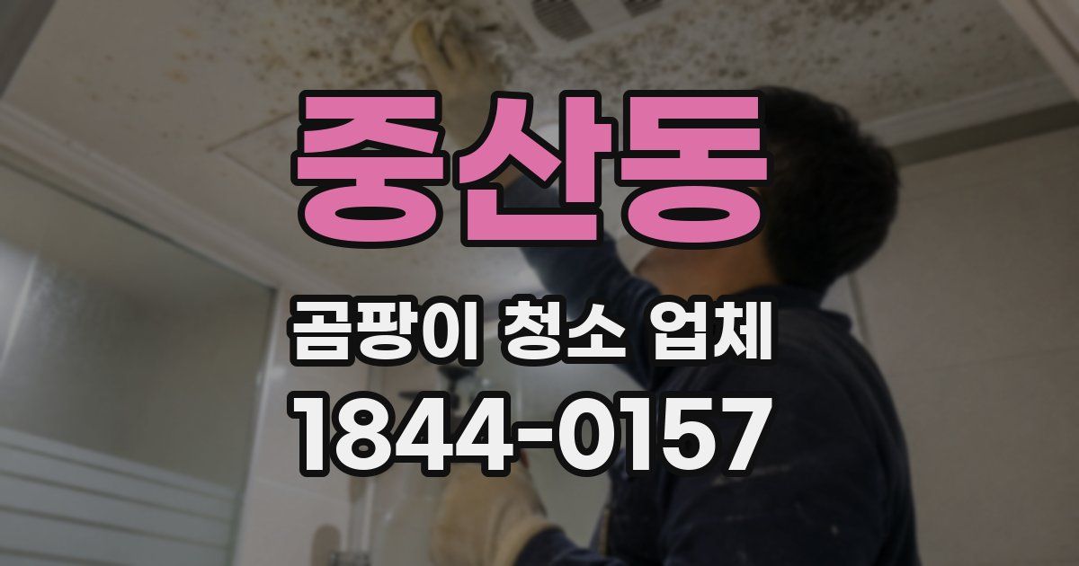 중산동 곰팡이 청소 업체