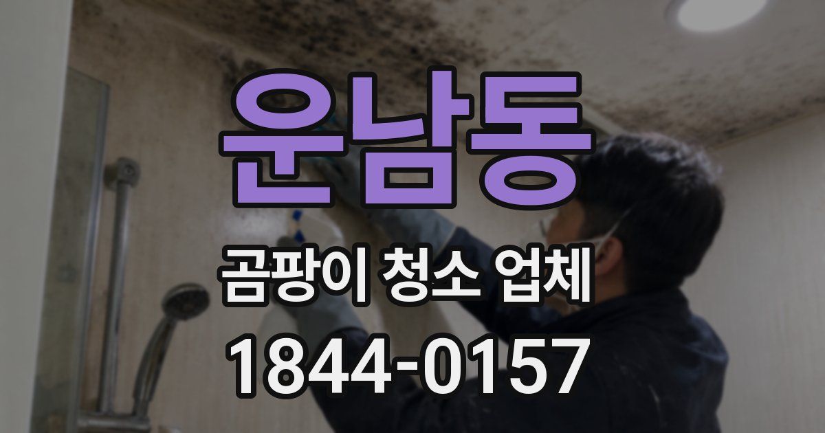 운남동 곰팡이 청소 업체
