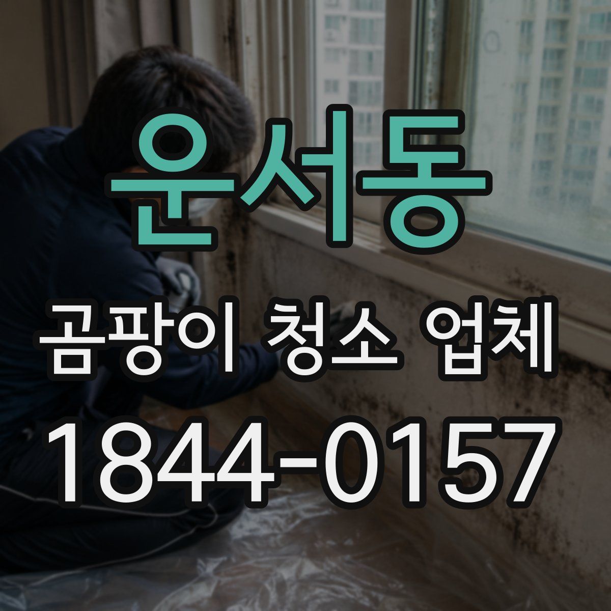 운서동 곰팡이 청소 업체