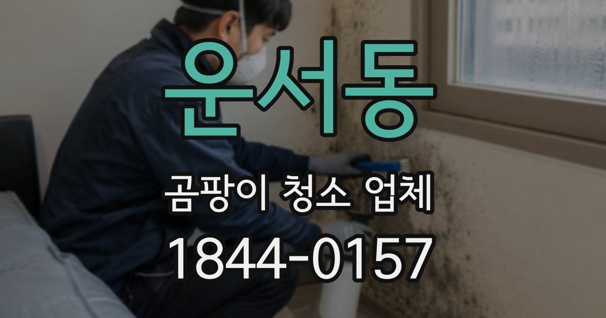 운서동 곰팡이 청소 업체