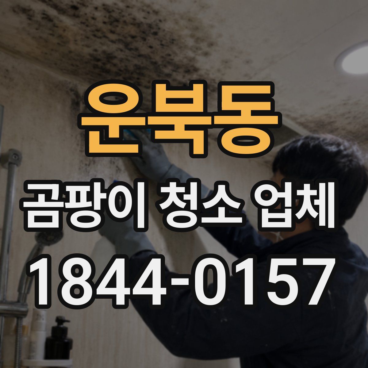 운북동 곰팡이 청소 업체