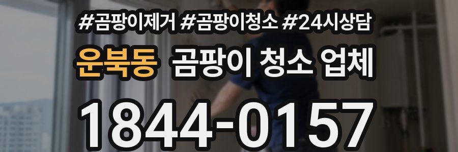 운북동 곰팡이 청소 업체