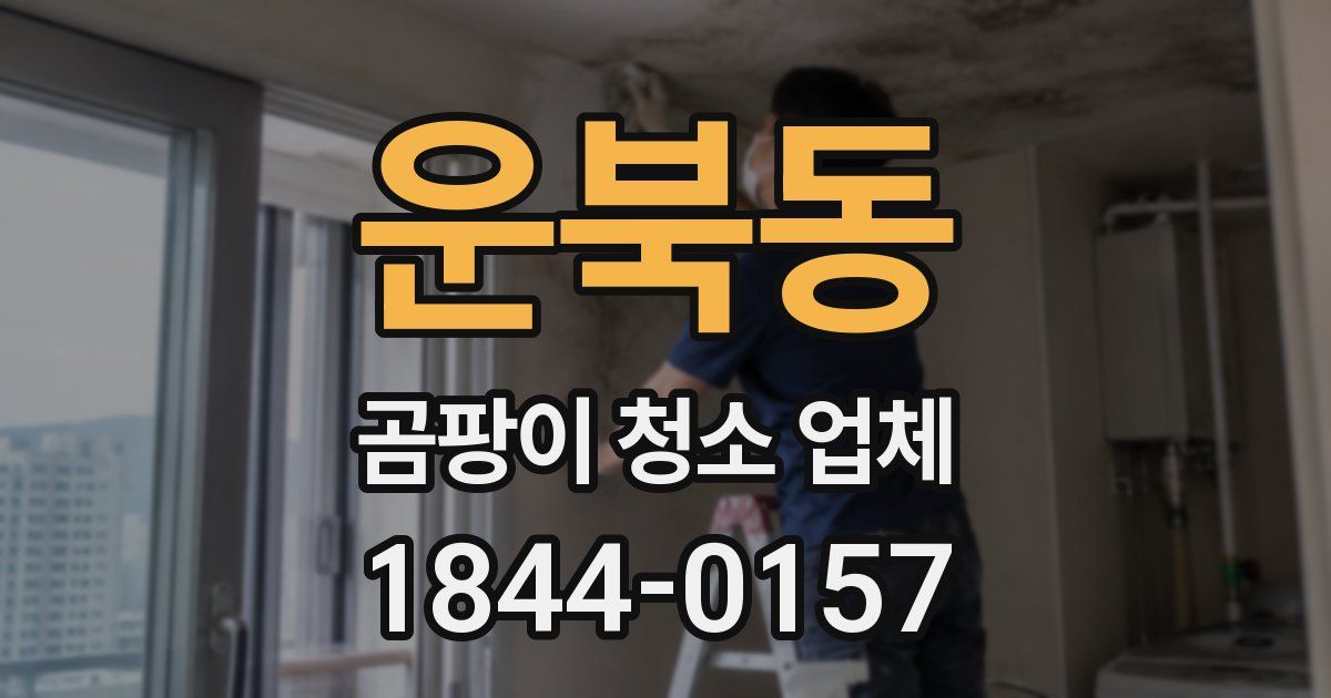 운북동 곰팡이 청소 업체