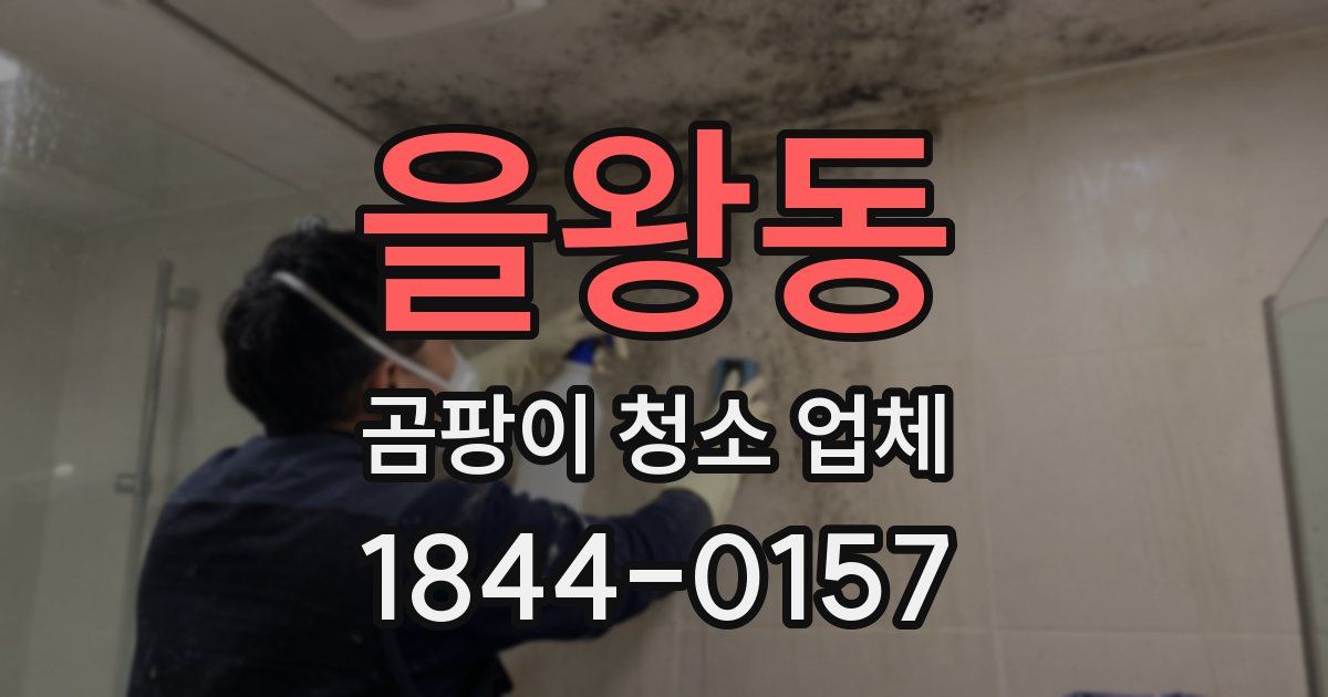 을왕동 곰팡이 청소 업체