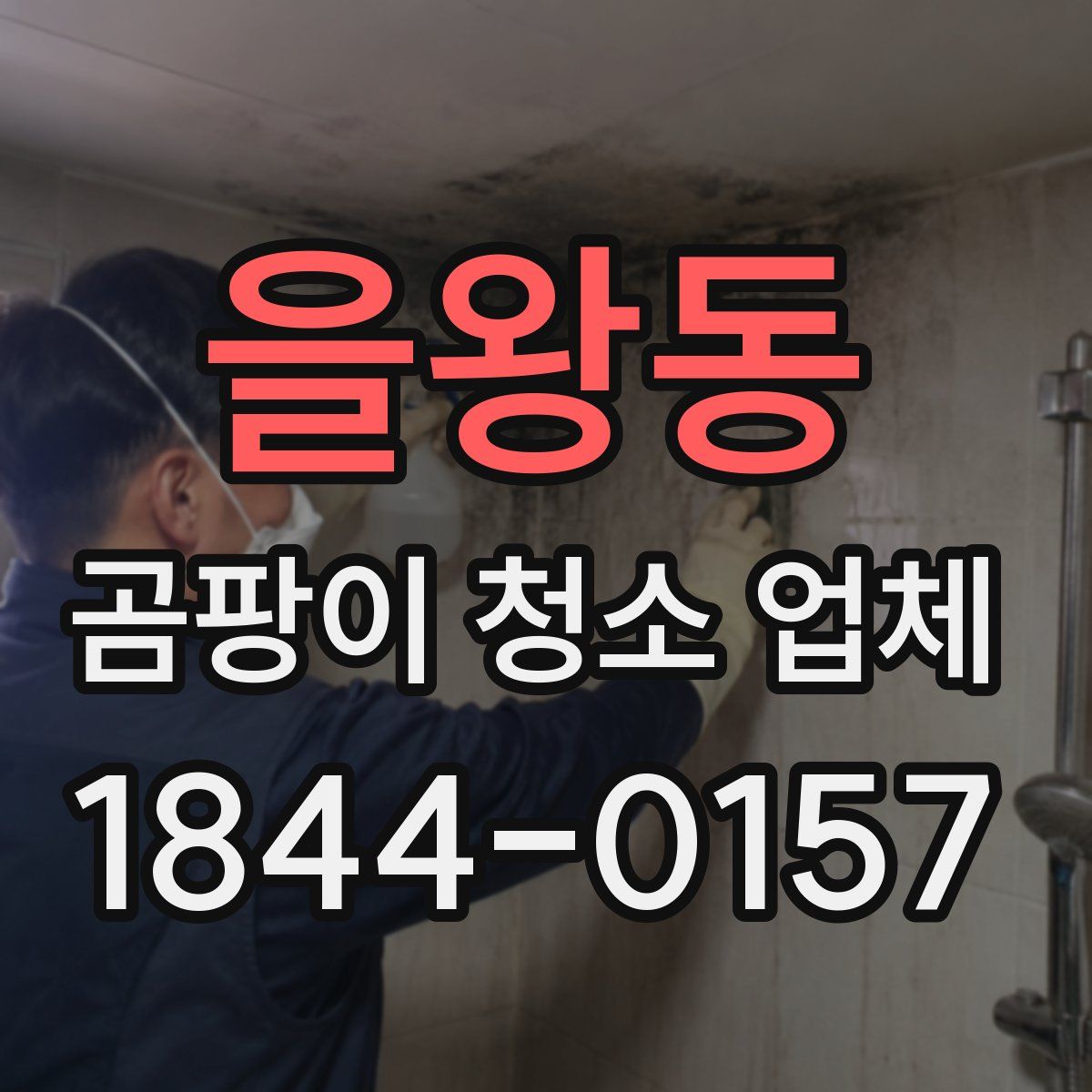 을왕동 곰팡이 청소 업체