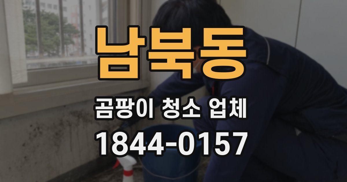 남북동 곰팡이 청소 업체