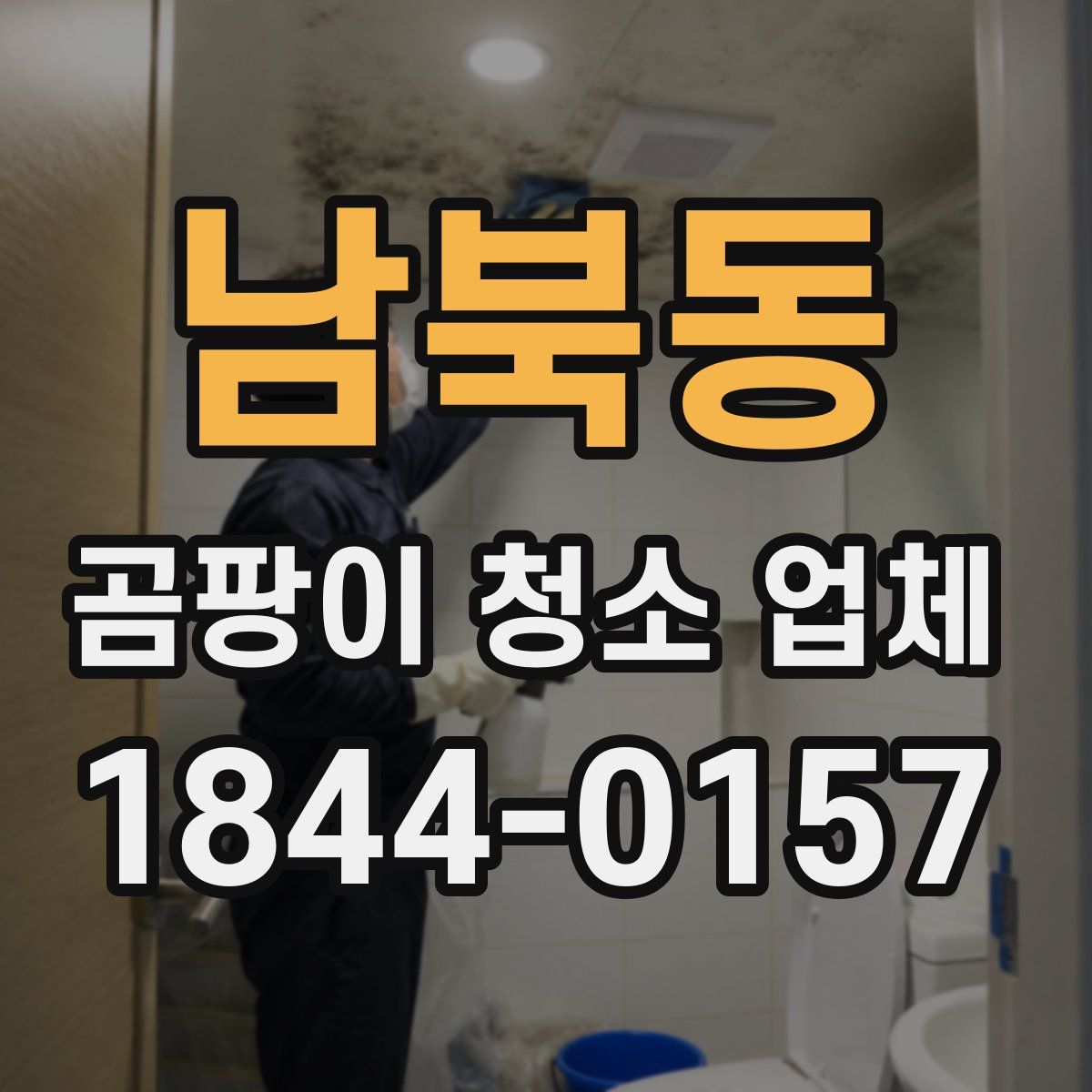 남북동 곰팡이 청소 업체