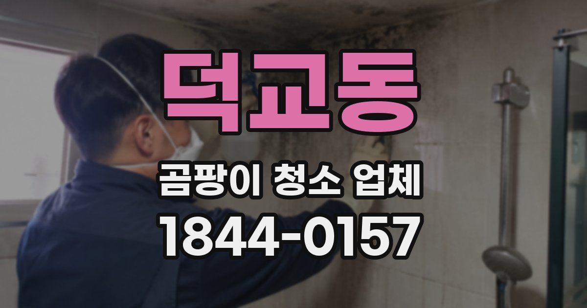 덕교동 곰팡이 청소 업체
