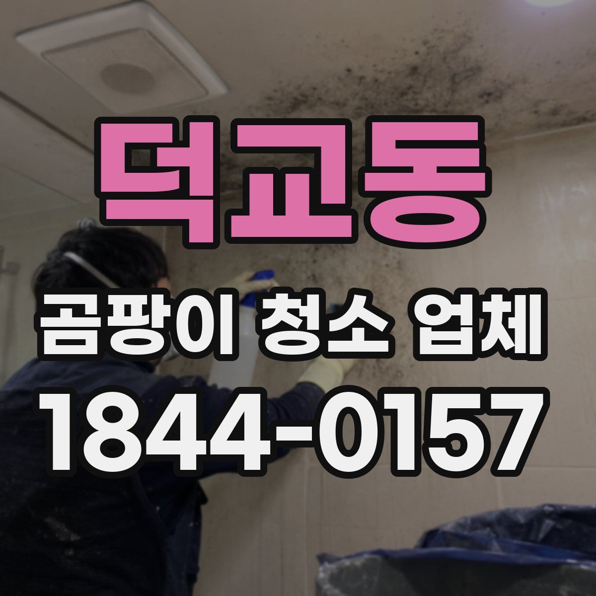 덕교동 곰팡이 청소 업체
