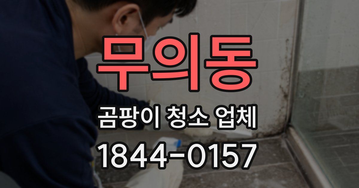 무의동 곰팡이 청소 업체
