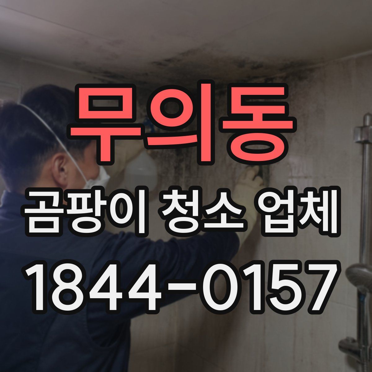 무의동 곰팡이 청소 업체