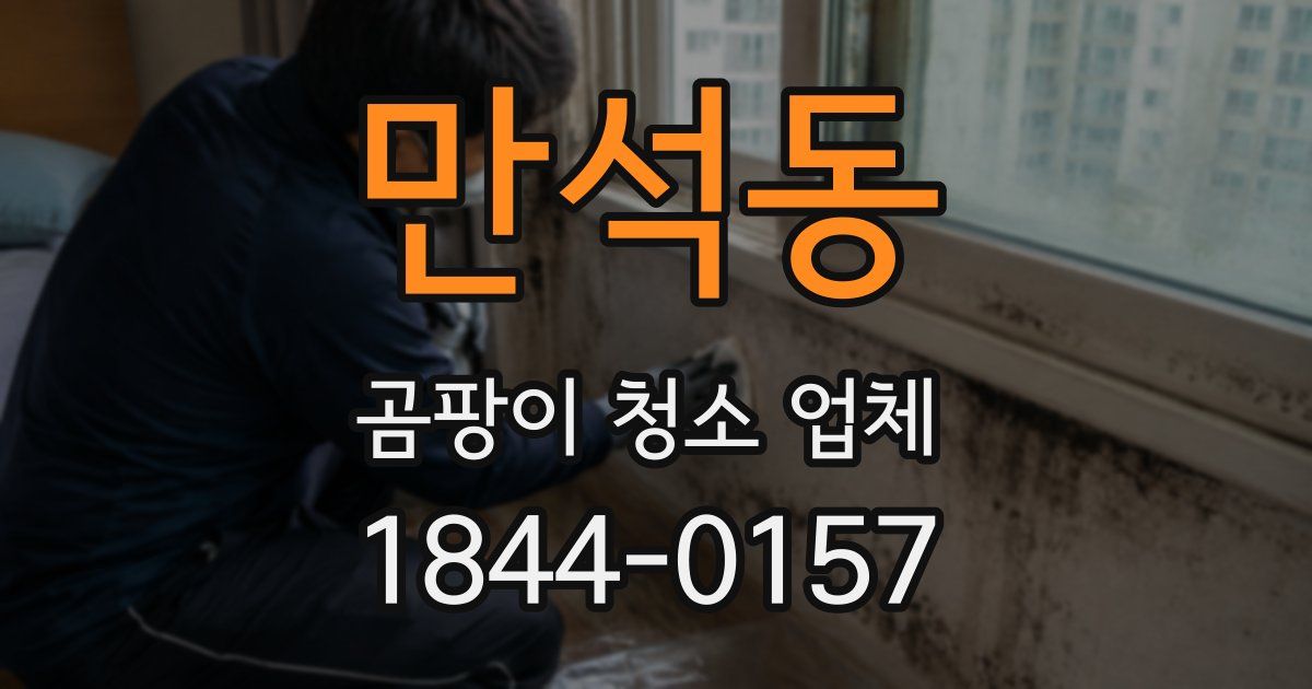 만석동 곰팡이 청소 업체