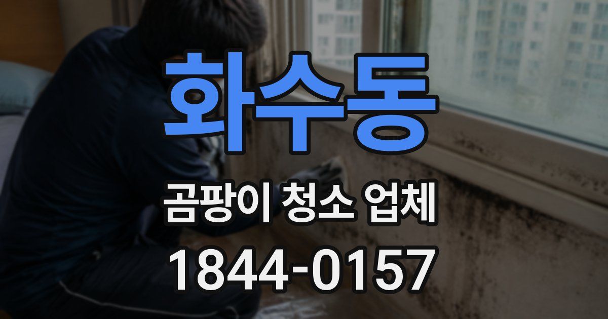 화수동 곰팡이 청소 업체