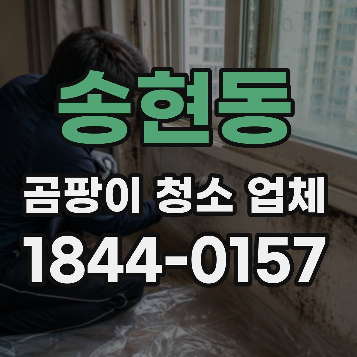 송현동 곰팡이 청소 업체