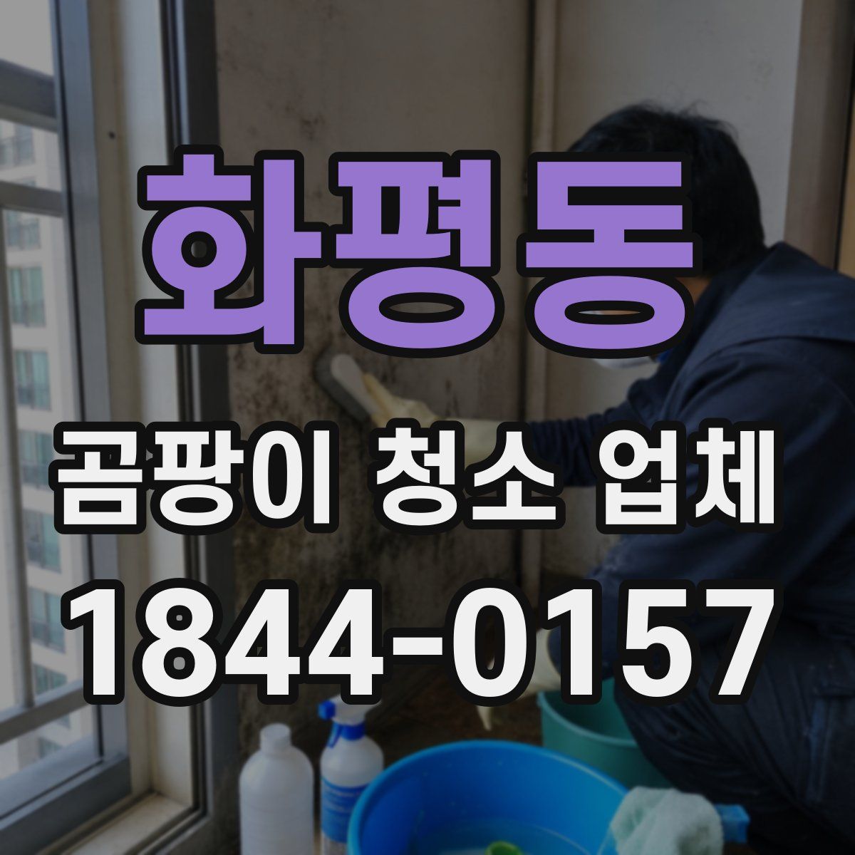 화평동 곰팡이 청소 업체
