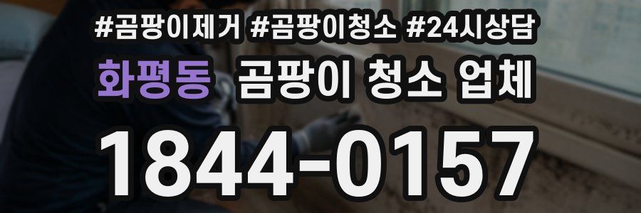 화평동 곰팡이 청소 업체
