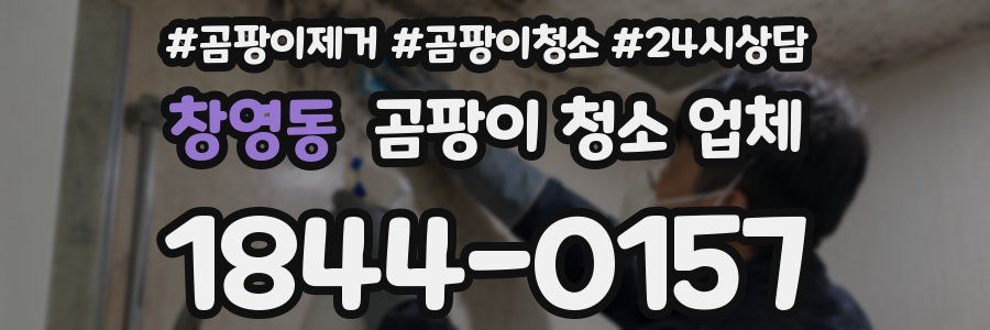창영동 곰팡이 청소 업체