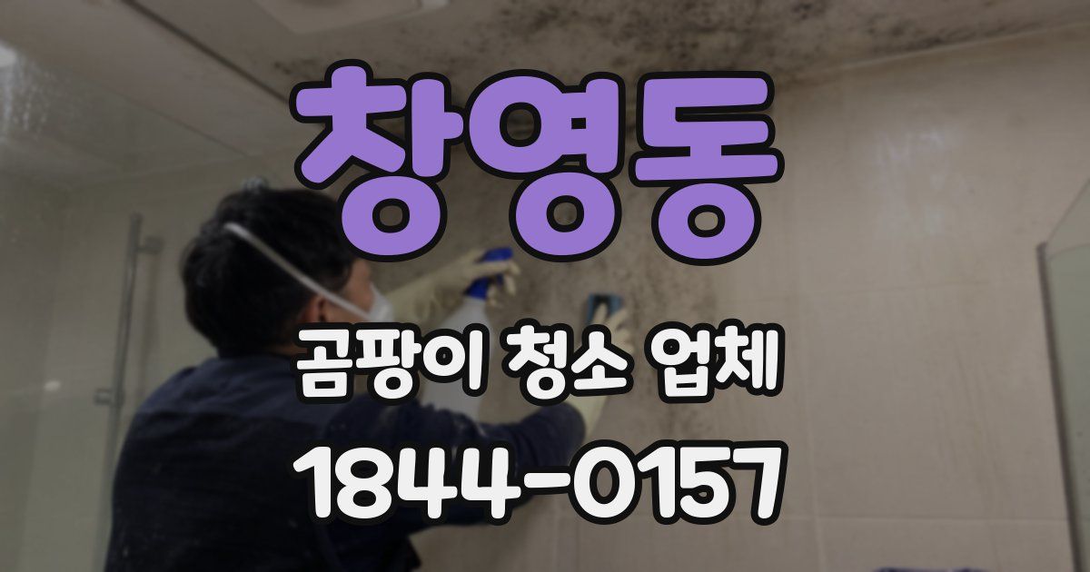 창영동 곰팡이 청소 업체
