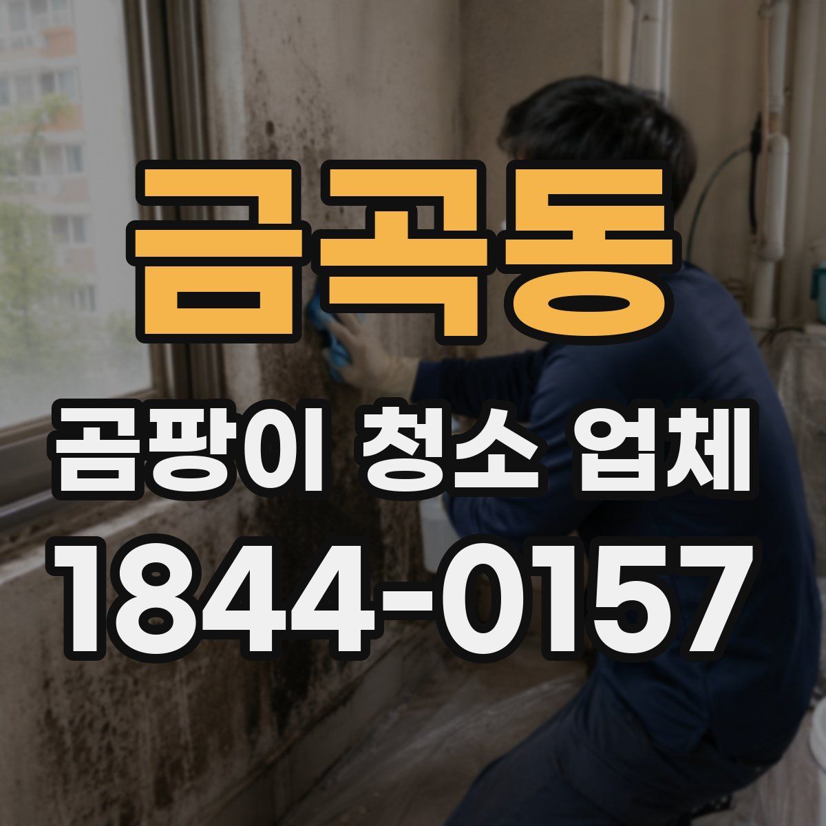 금곡동 곰팡이 청소 업체