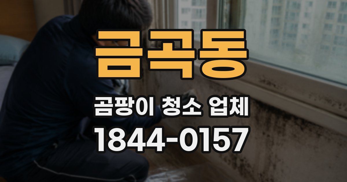 금곡동 곰팡이 청소 업체