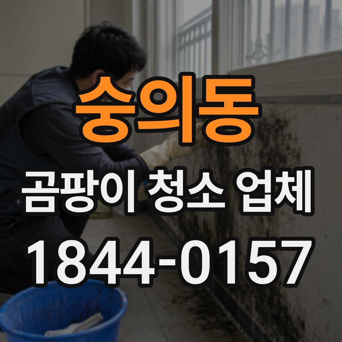 숭의동 곰팡이 청소 업체