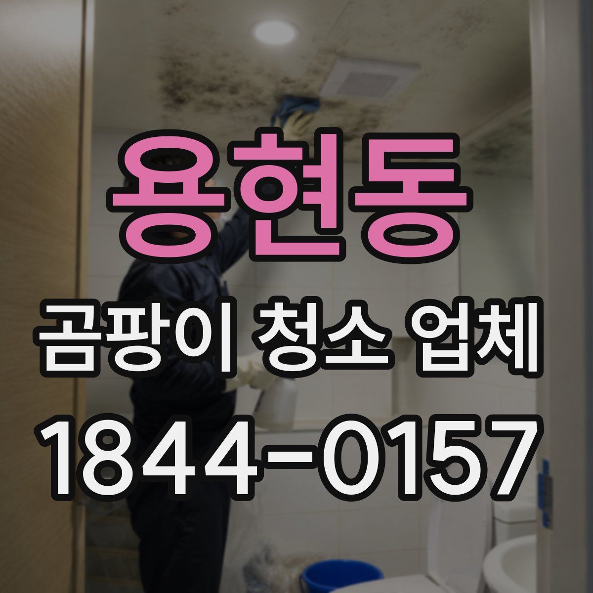 용현동 곰팡이 청소 업체