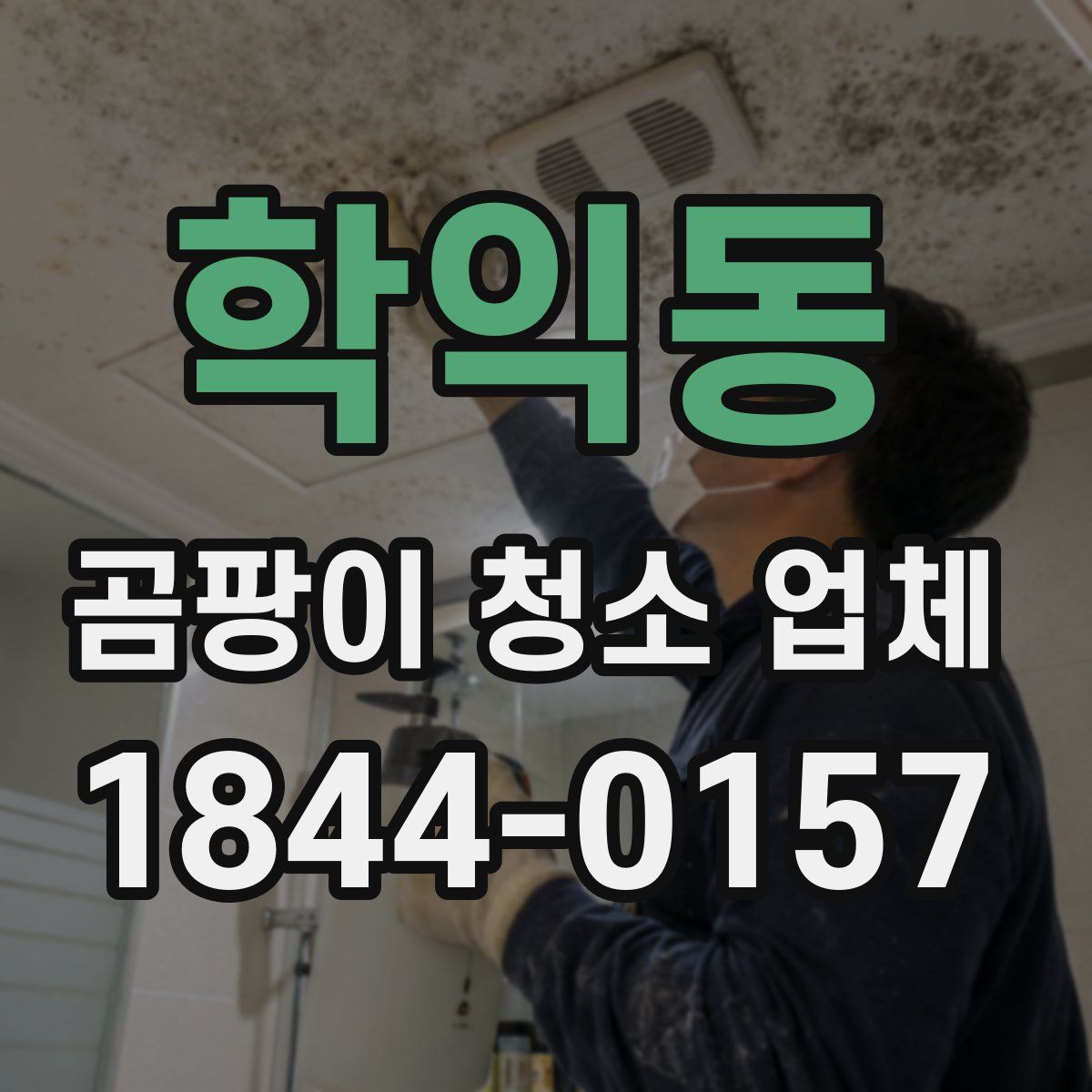 학익동 곰팡이 청소 업체