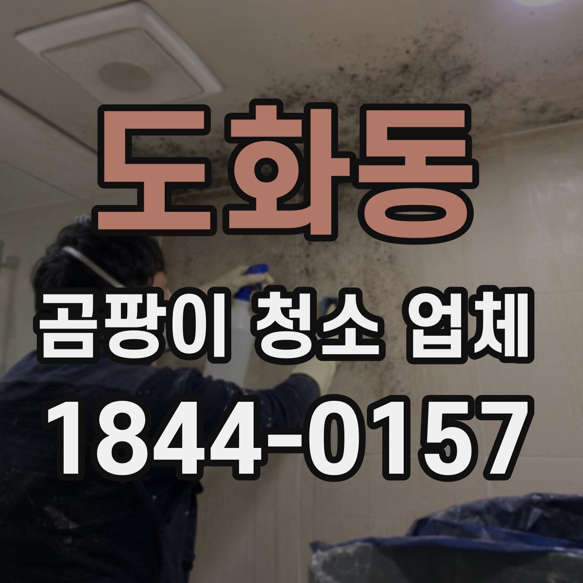 도화동 곰팡이 청소 업체