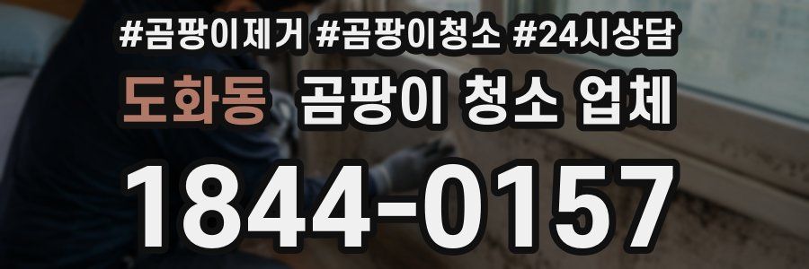 도화동 곰팡이 청소 업체