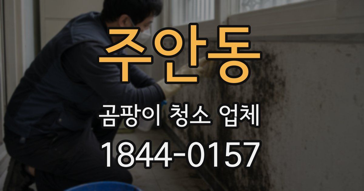 주안동 곰팡이 청소 업체