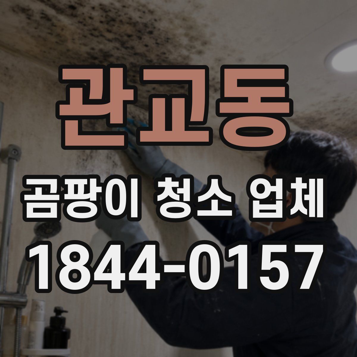 관교동 곰팡이 청소 업체