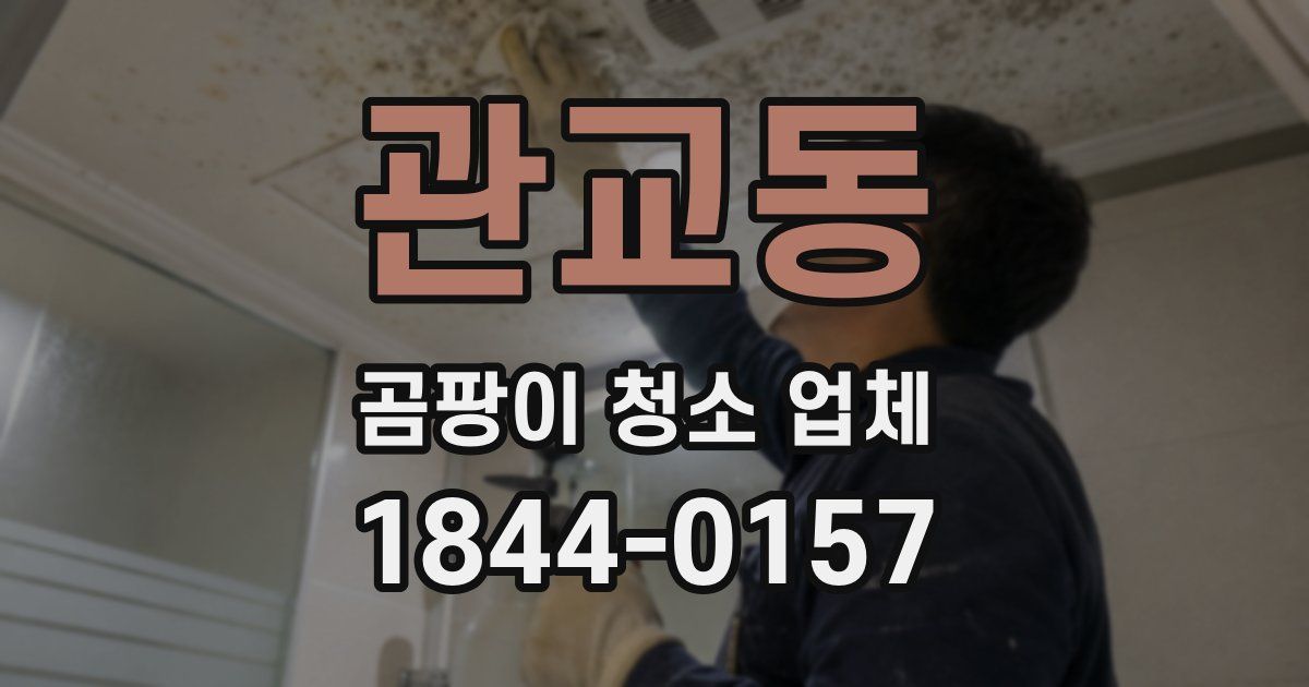 관교동 곰팡이 청소 업체