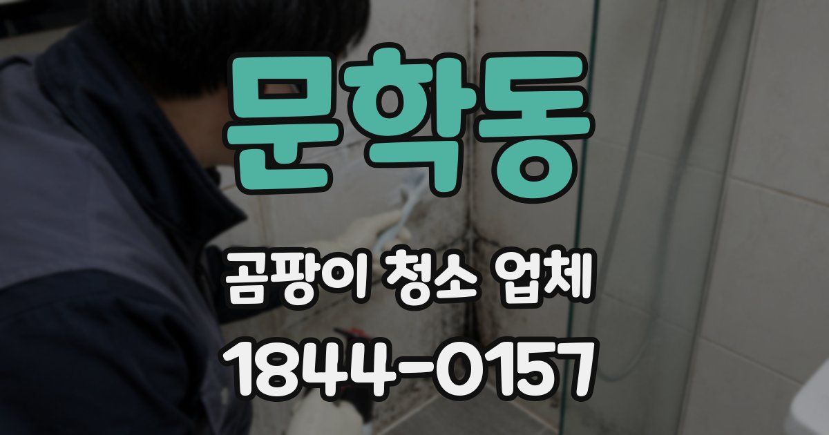 문학동 곰팡이 청소 업체