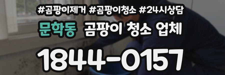 문학동 곰팡이 청소 업체