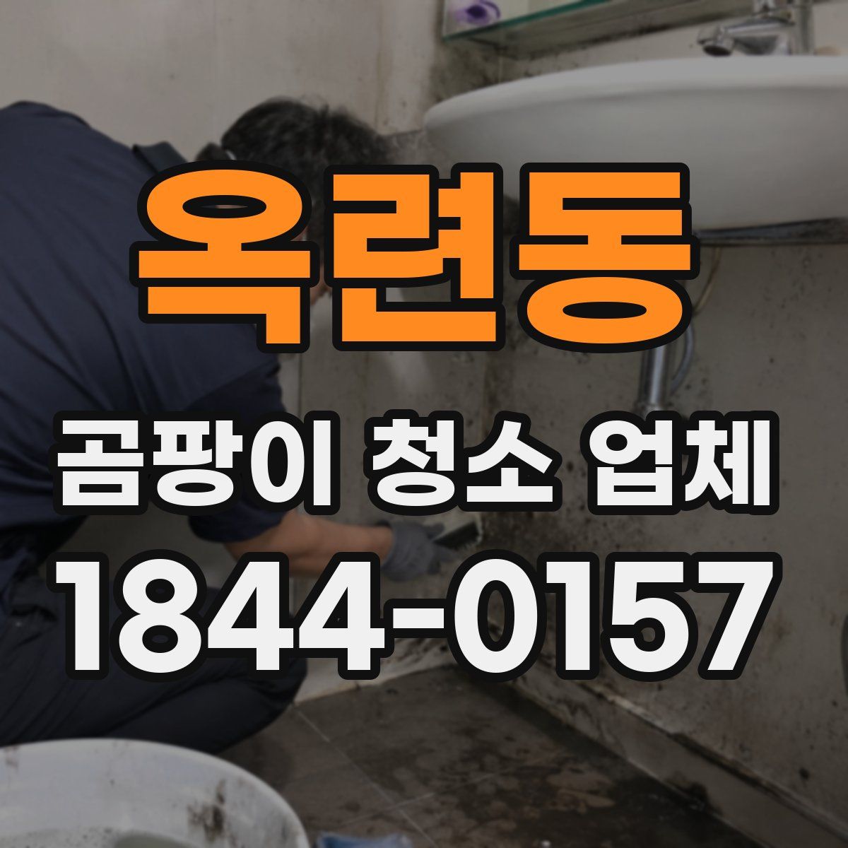옥련동 곰팡이 청소 업체