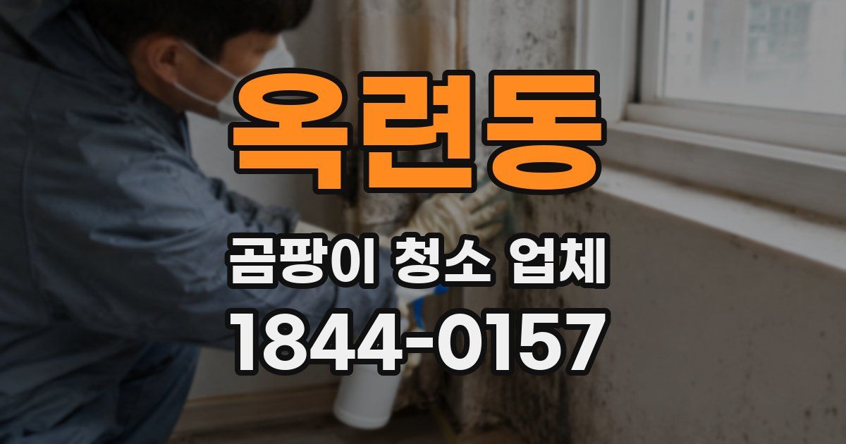 옥련동 곰팡이 청소 업체