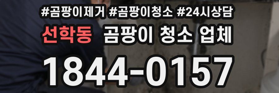 선학동 곰팡이 청소 업체