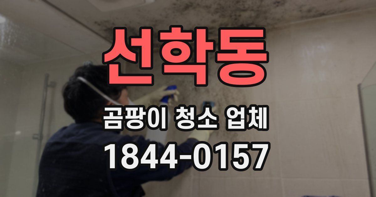 선학동 곰팡이 청소 업체